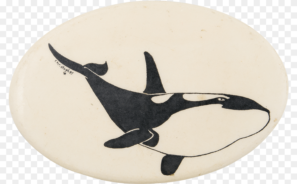 Orca Whale Art Button Museum Killer Whale, Animal, Sea Life, Mammal Png