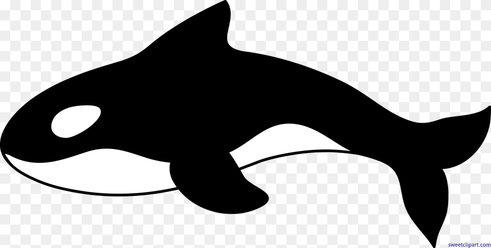 Orca Whale Clip Art, Head, Person, Face, Mustache Free Png Download