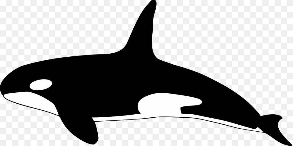 Orca Whale Clipart, Animal, Sea Life, Fish, Mammal Png