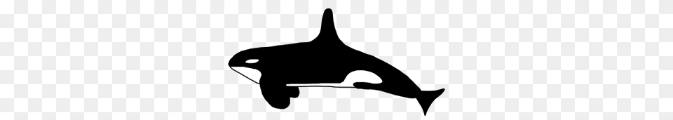 Orcas Clip Art, Silhouette, Stencil, Animal, Mammal Free Png