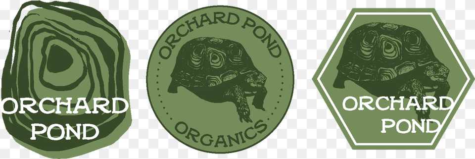 Orchard Pond Logos By Margaret Morgan Holy Names Academy, Green, Animal, Reptile, Sea Life Free Png Download