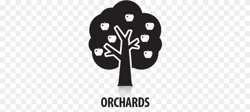 Orchards Illustration, Body Part, Hand, Person Png Image