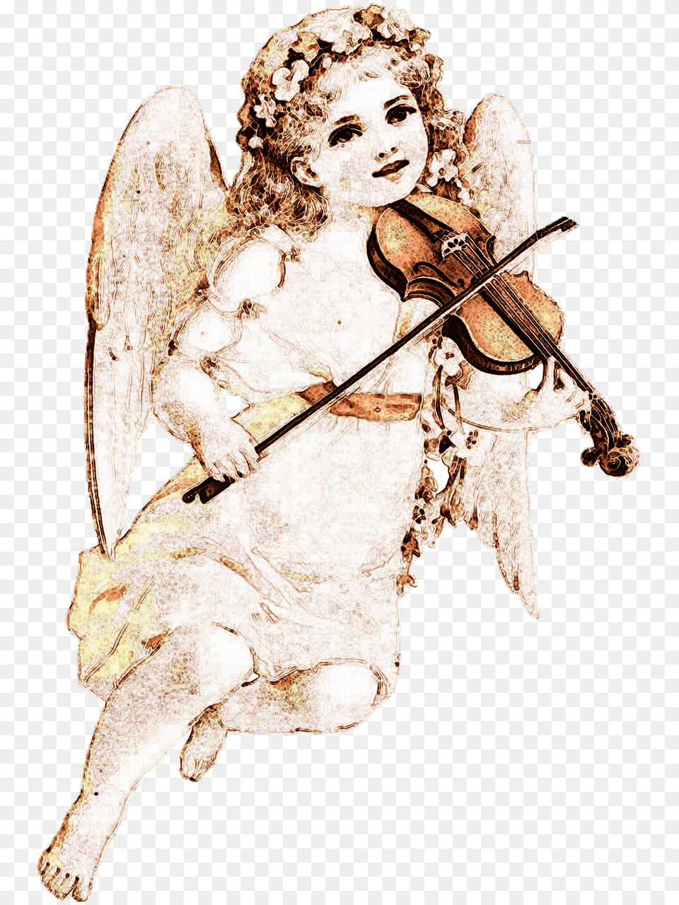 Orchestra, Adult, Wedding, Person, Woman Free Transparent Png