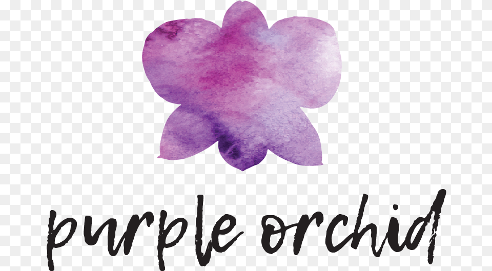 Orchid, Flower, Petal, Plant, Purple Free Png Download