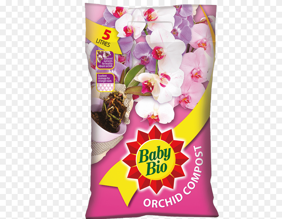 Orchid, Flower, Plant, Advertisement, Flower Arrangement Png