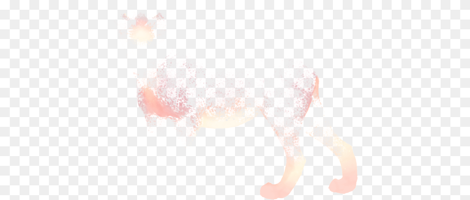 Orchid, Baby, Person, Animal, Mammal Png