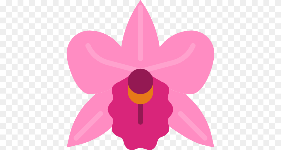Orchid, Flower, Plant, Animal, Fish Png Image