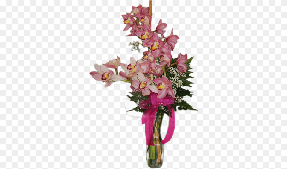 Orchid, Plant, Flower, Flower Arrangement, Flower Bouquet Png