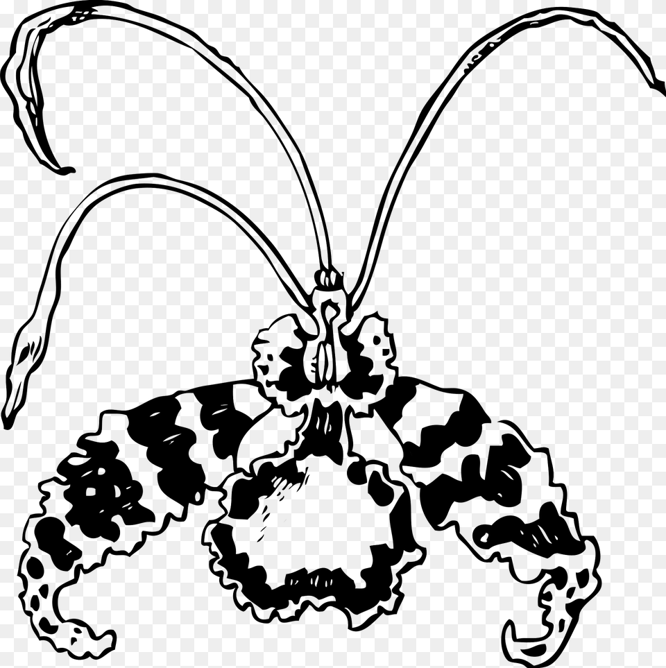 Orchid Clipart, Animal, Bee, Insect, Invertebrate Free Png