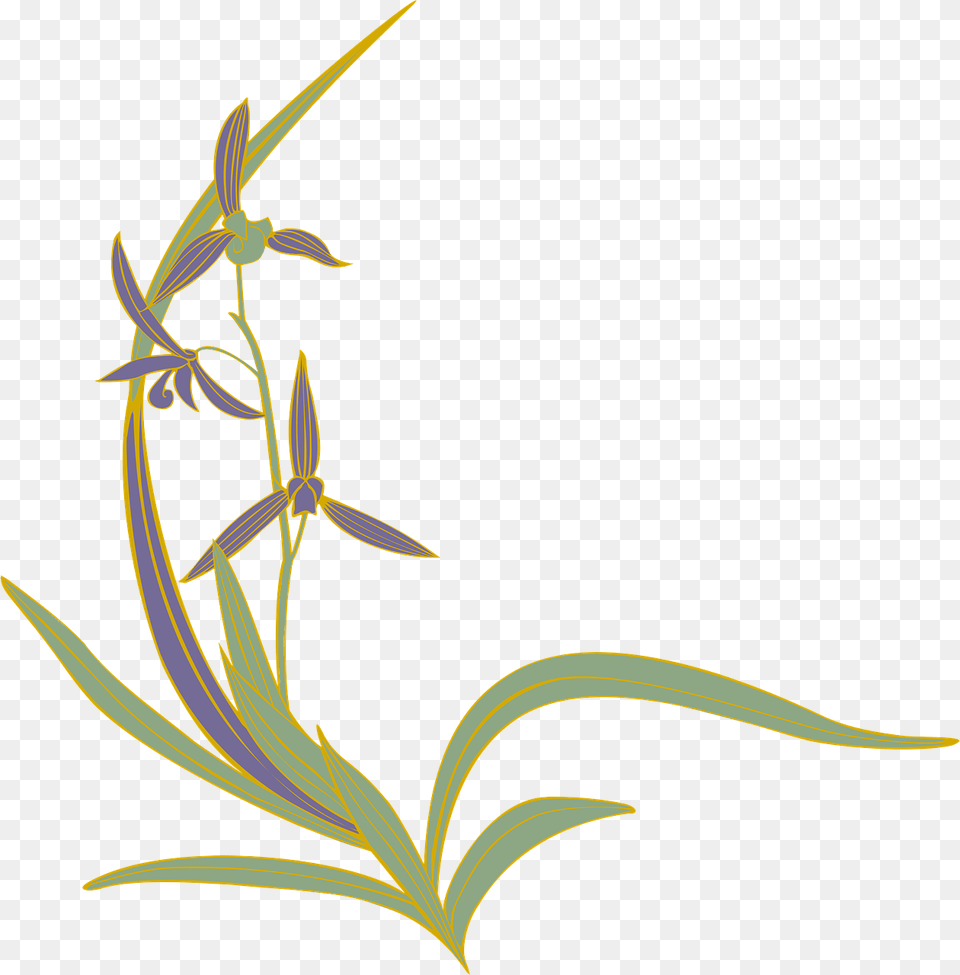 Orchid Clipart, Art, Floral Design, Graphics, Grass Free Transparent Png
