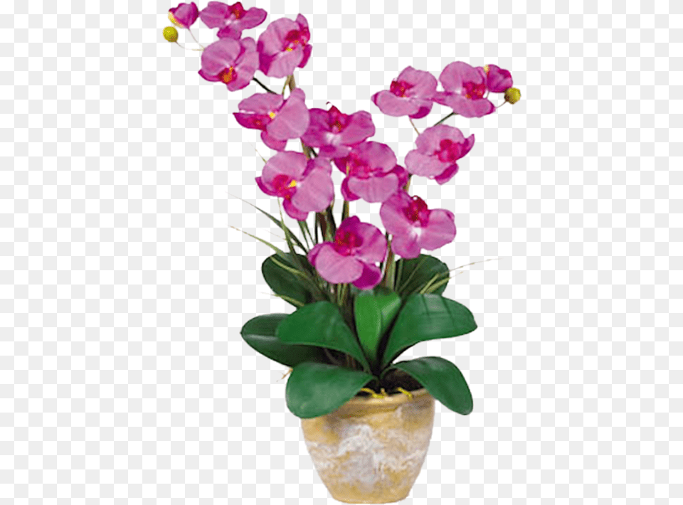 Orchid Double Stem Phalaenopsis Silk Orchid Arrangement, Flower, Flower Arrangement, Plant Free Png