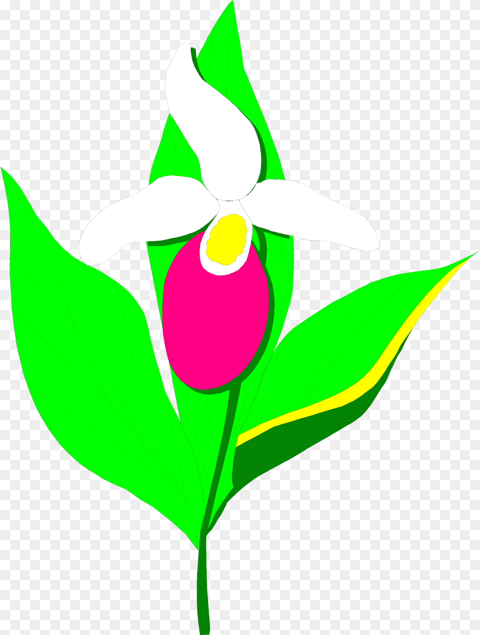 Orchid Flower Clip Art, Plant, Animal, Fish, Sea Life Png Image