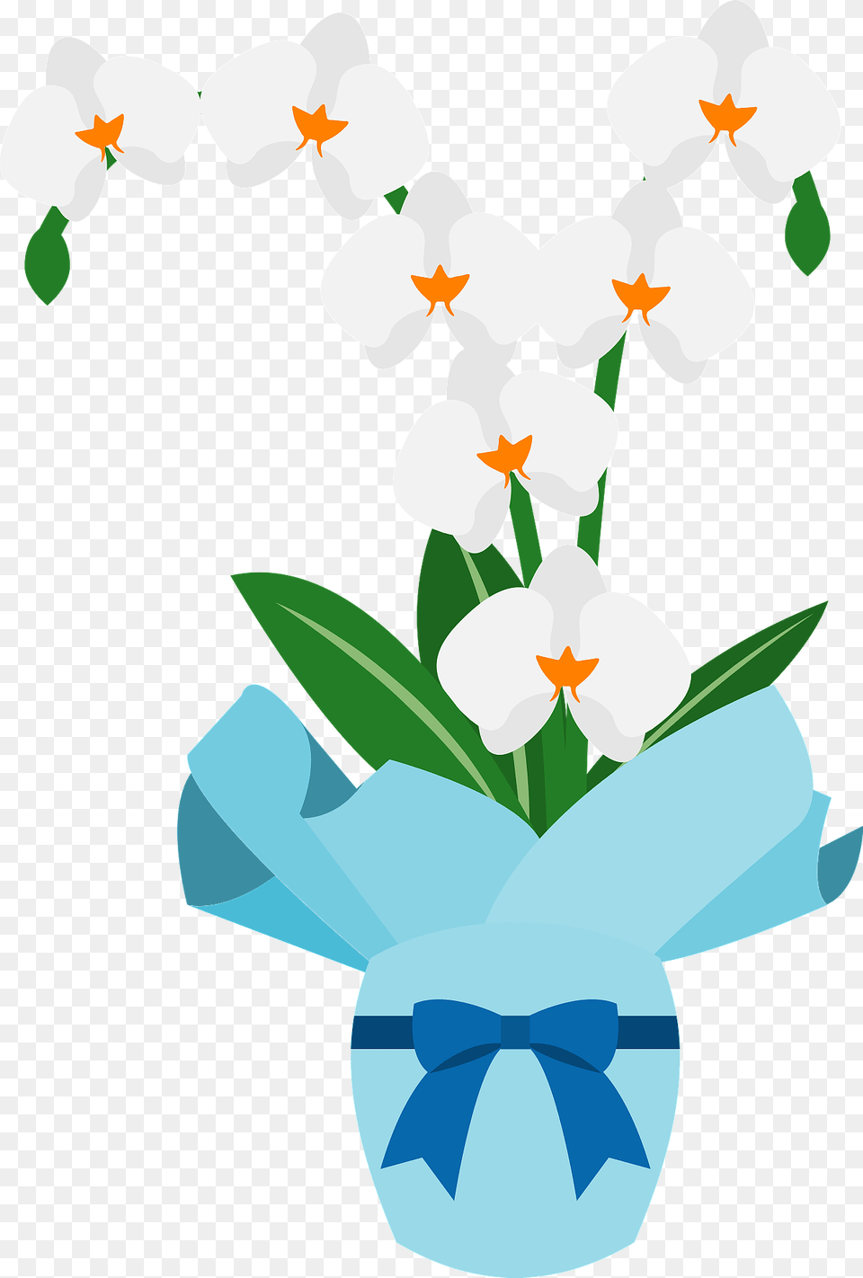 Orchid Flower Clipart, Plant, Flower Arrangement, Petal, Outdoors Free Png Download