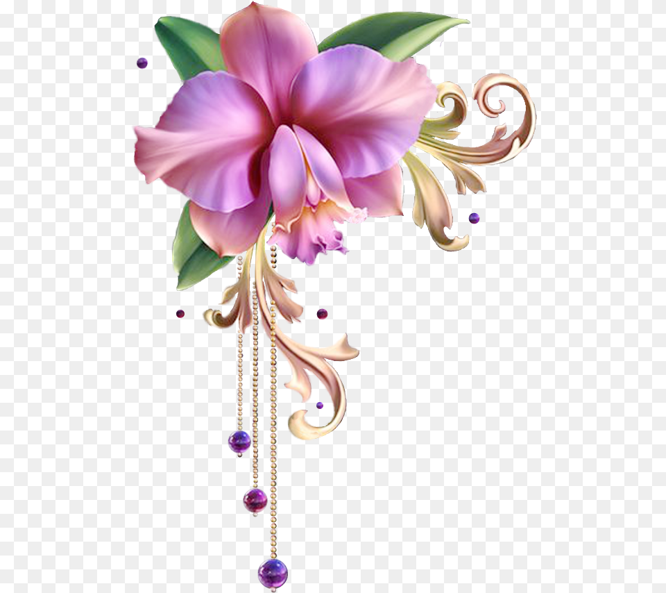 Orchid Flower Frame, Accessories, Plant, Floral Design, Art Free Transparent Png
