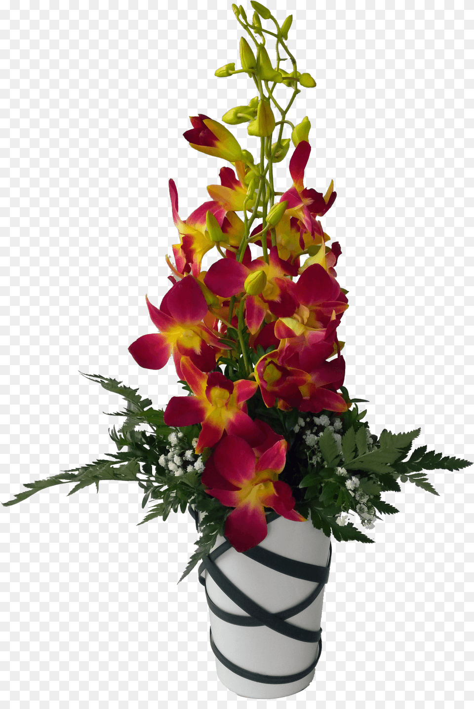 Orchid Flower Pot, Flower Arrangement, Flower Bouquet, Ikebana, Plant Free Png