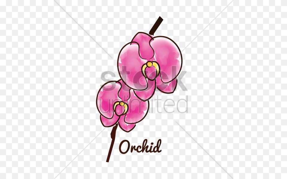 Orchid Flower Vector Plant, Petal Png Image