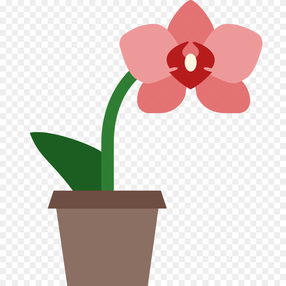 Orchid Icon, Flower, Plant Png Image