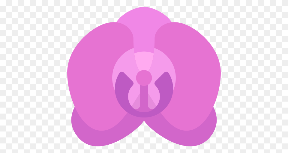 Orchid Icon, Flower, Plant, Astronomy, Moon Png