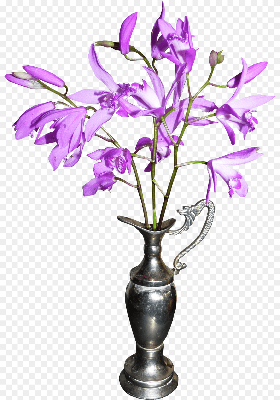 Orchid Image Tulip Vase, Flower, Flower Arrangement, Jar, Plant Free Transparent Png