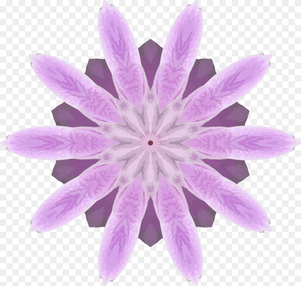 Orchid Kaleidoscope 10 Clip Arts Water Lily, Petal, Dahlia, Flower, Purple Free Png