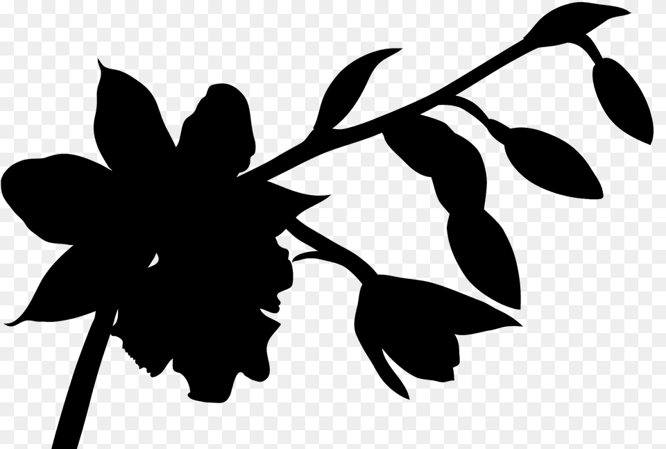 Orchid Silhouette, Plant, Leaf, Stencil, Flower Free Png