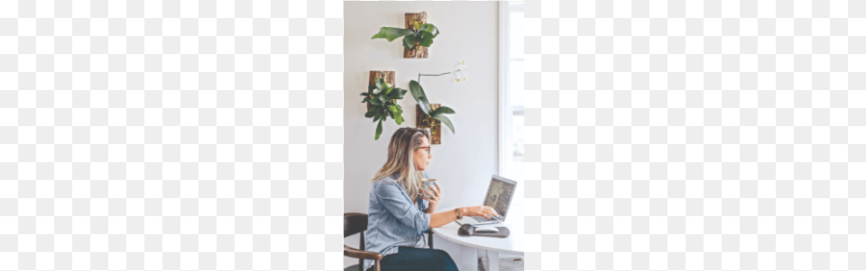 Orchid Wall Display, Sitting, Person, Computer, Electronics Png Image