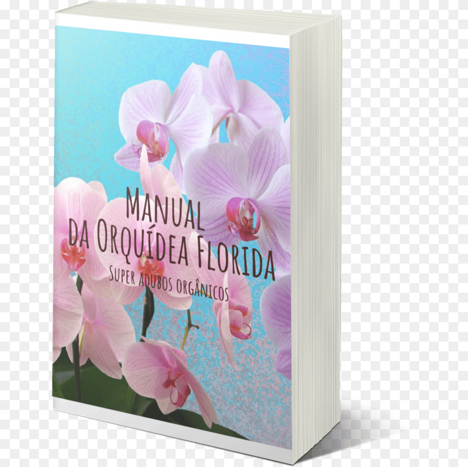 Orchids, Flower, Plant, Orchid, Publication Free Png Download