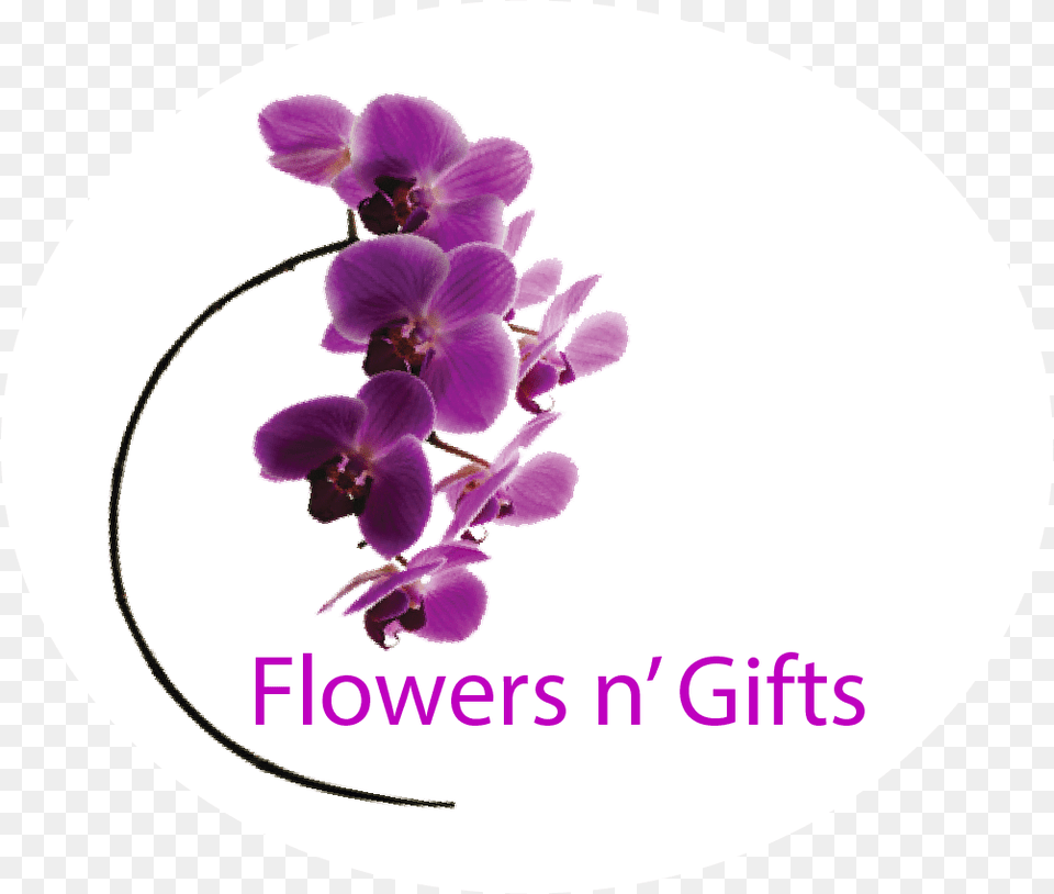 Orchids, Flower, Orchid, Plant, Purple Free Png