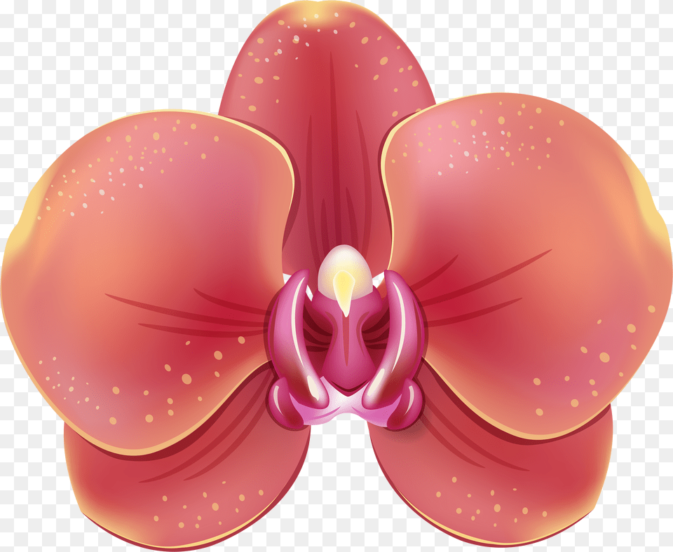 Orchids, Flower, Orchid, Petal, Plant Png Image
