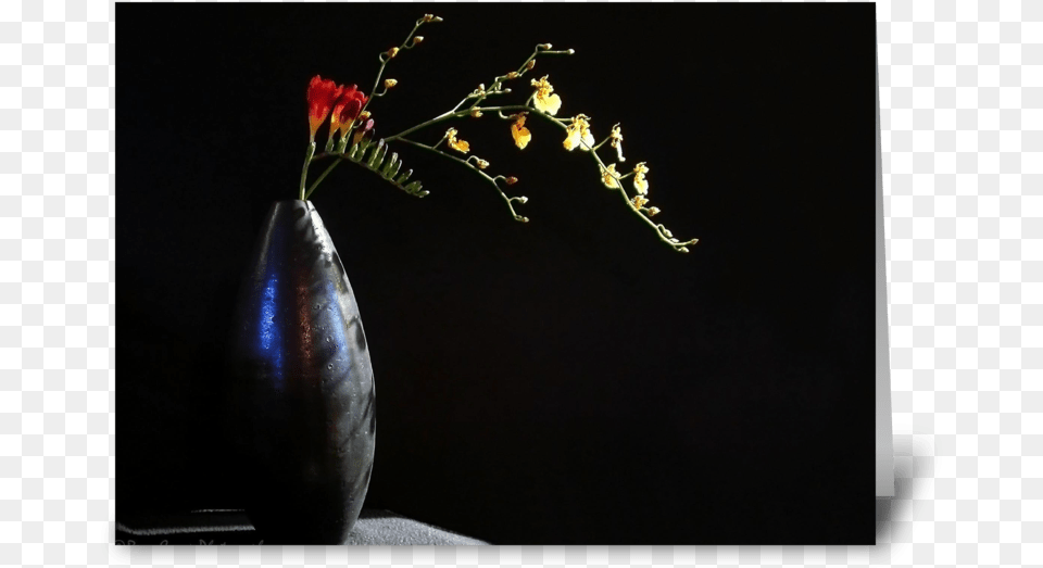 Orchids In Black Vase Greeting Card Still Life Photography, Flower, Flower Arrangement, Ikebana, Plant Png Image