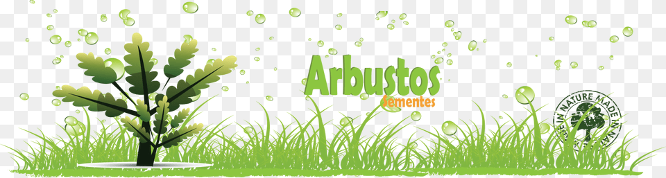 Ordenar Por Ordem Alfabtica Seed, Grass, Green, Plant, Art Png Image