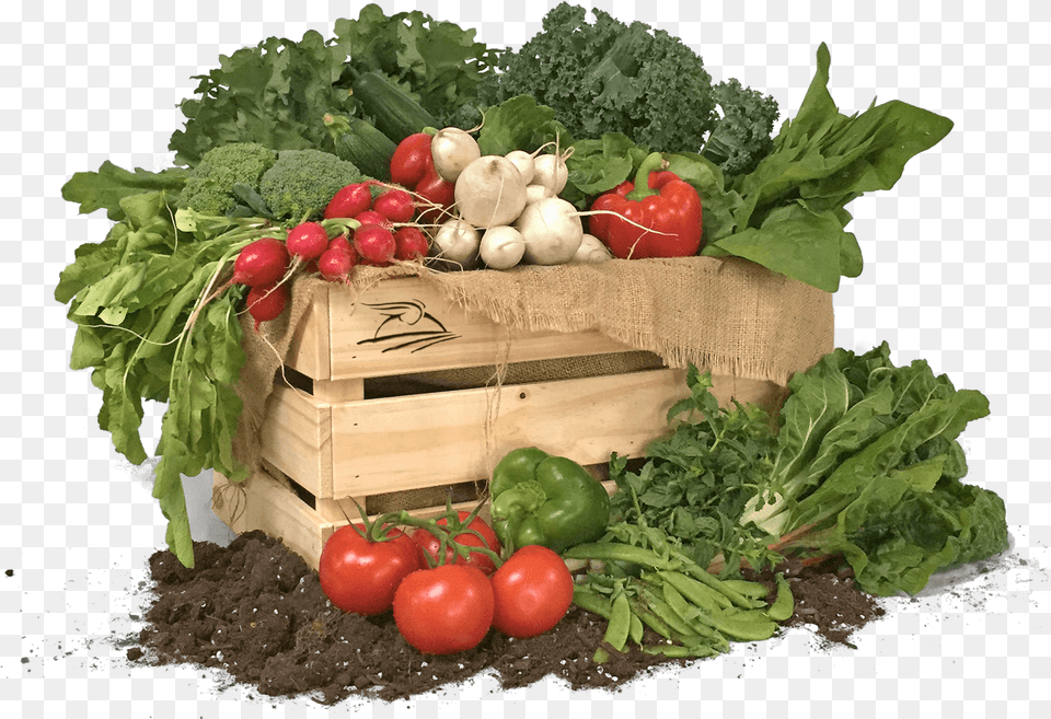 Order And Receive Each Week Your Organic Products Basket Chard, Plant, Food, Produce, Radish Free Png Download