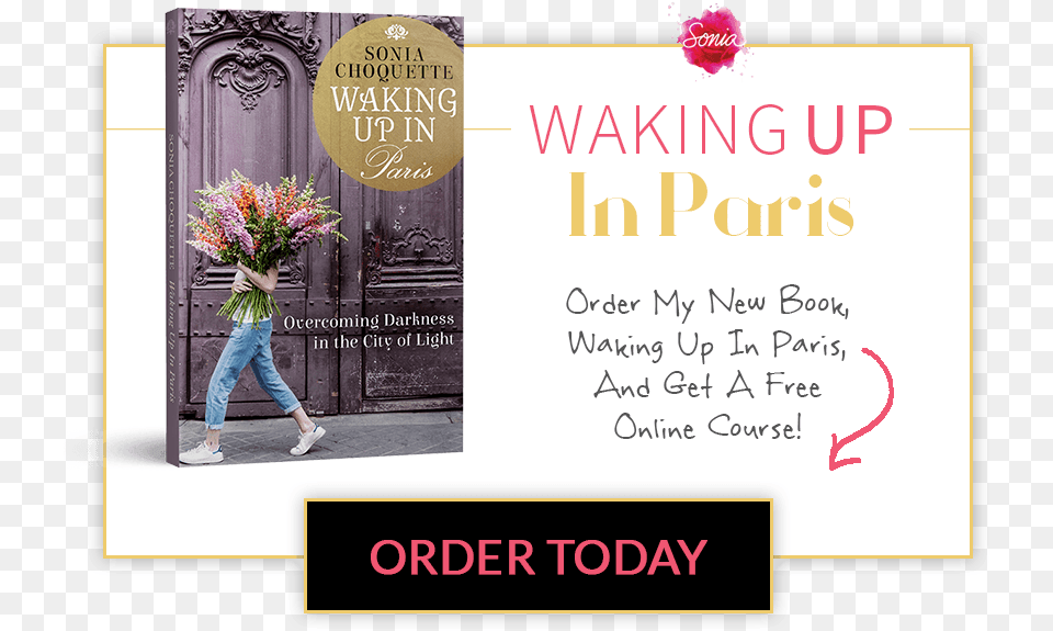 Order My New Book Waking Up In Paris And Get A Waking Up In Paris Overcoming Darkness, Envelope, Plant, Flower, Flower Arrangement Free Png