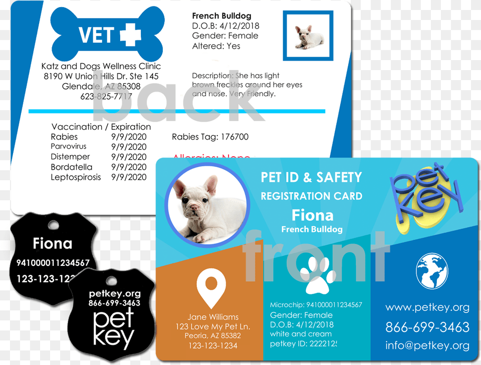 Order Pet Id Card Nationwide Pet Insurance Card, Advertisement, Poster, Text, Animal Png Image