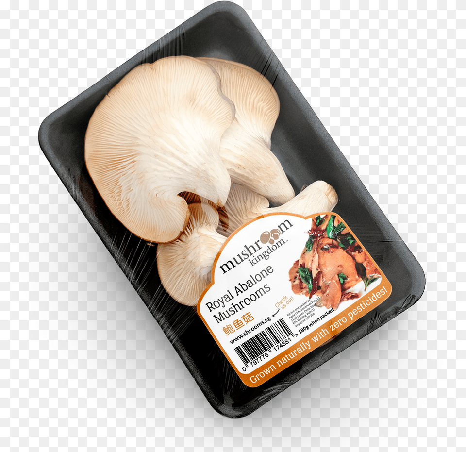 Order Yours Now Oyster Mushroom, Fungus, Plant, Agaric Free Png Download
