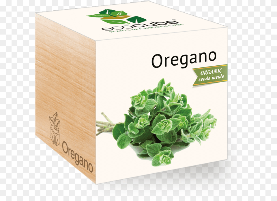 Oregano Oil 100 Natural Pure Undiluted Uncut Essential, Herbal, Herbs, Plant Free Png Download