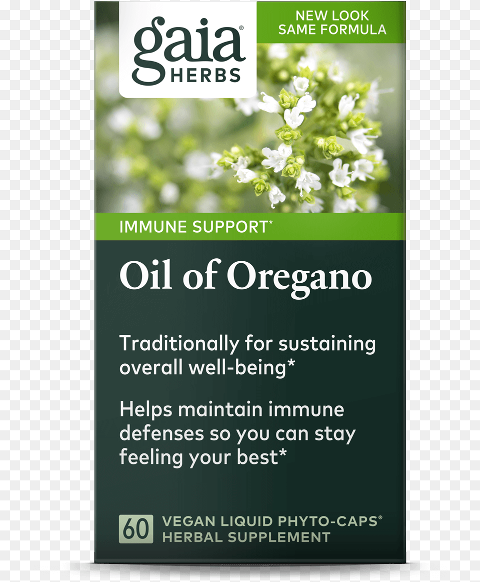 Oregano Oil, Advertisement, Herbal, Herbs, Plant Free Transparent Png