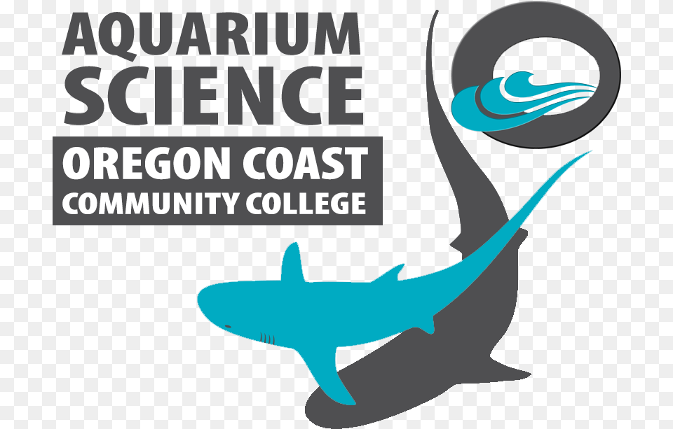 Oregon Coast Community College Marine Biology, Animal, Fish, Sea Life, Shark Free Transparent Png