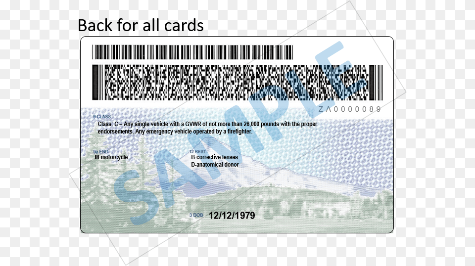 Oregon Drivers License Back, Text, Document, Qr Code Png Image