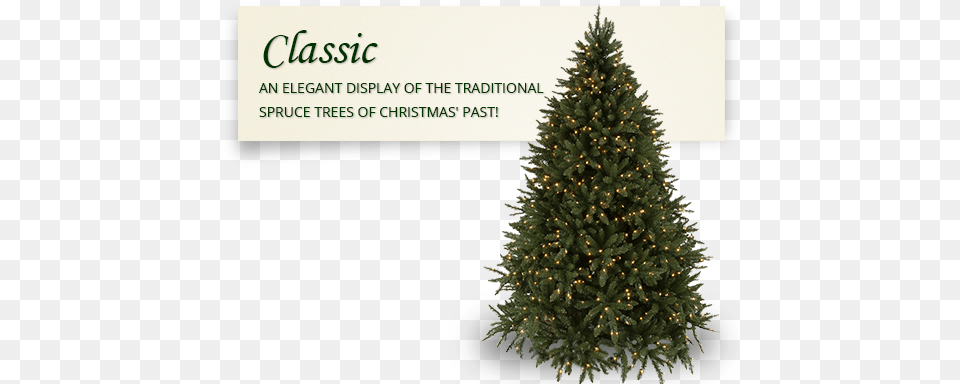 Oregon Fir Prelit Tree Douglas Fir Xmas Tree, Pine, Plant, Christmas, Christmas Decorations Free Transparent Png