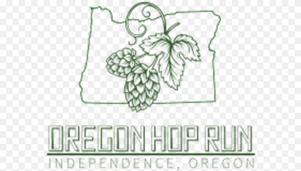 Oregon Hop Run Line Art, Green, Herbs, Plant, Vegetation Png Image