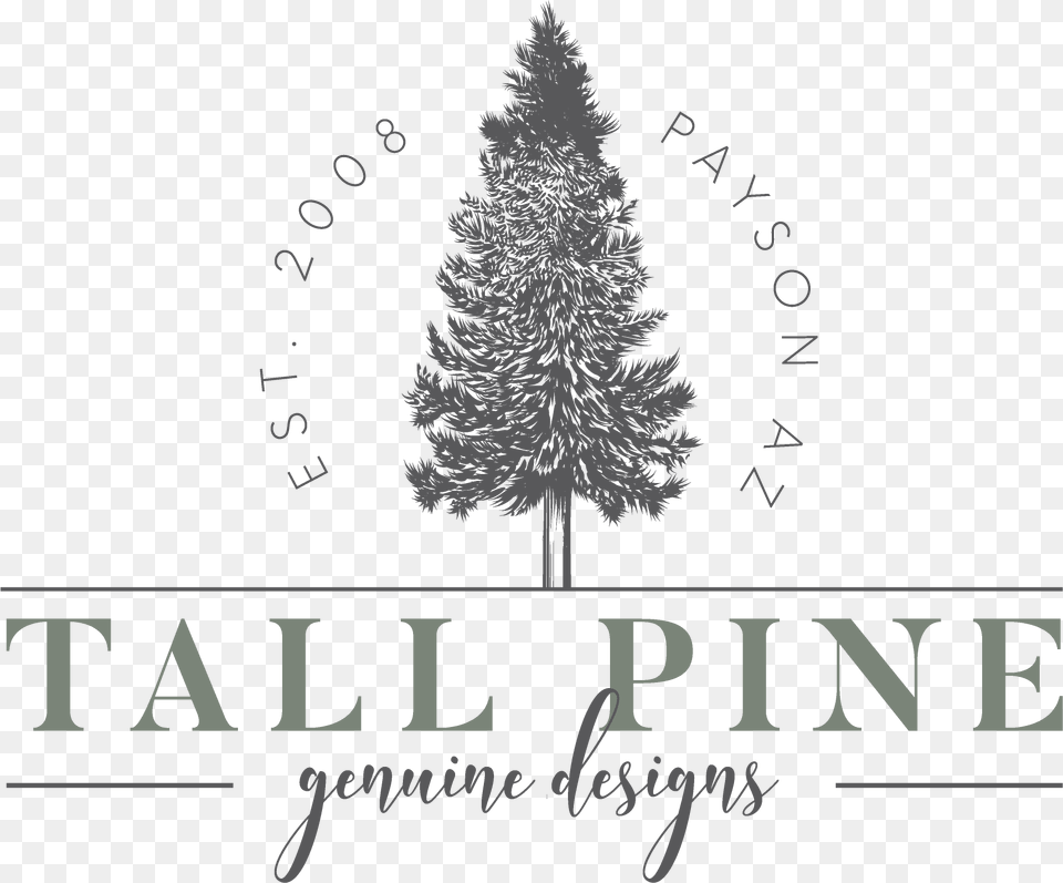 Oregon Pine, Plant, Tree, Festival, Christmas Free Png