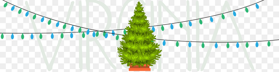 Oregon Pine, Plant, Tree, Christmas, Christmas Decorations Png Image
