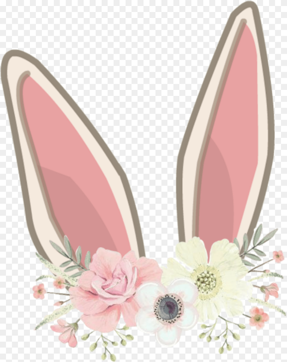 Orelhasdecoelho Orelhas Coelhinho Coelhinha Coelho Rabbit Ears Clip Art, Flower, Petal, Plant, Floral Design Free Png