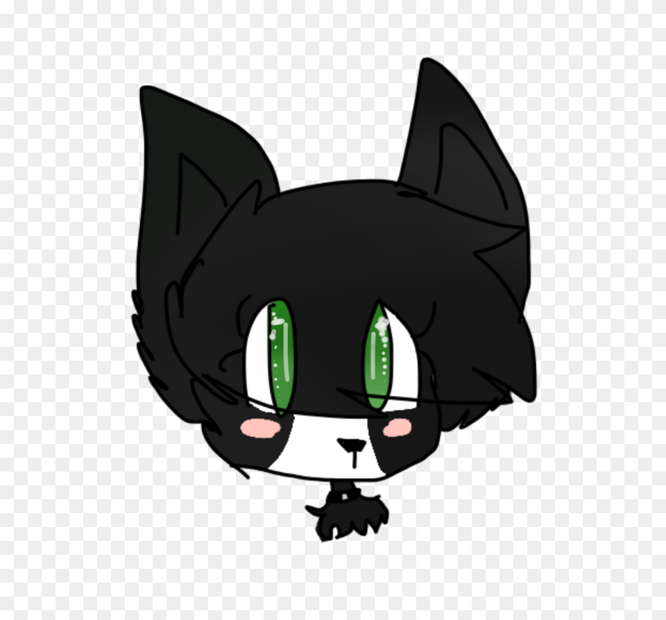 Oreo With Emo Hair, Animal, Cat, Mammal, Pet Png