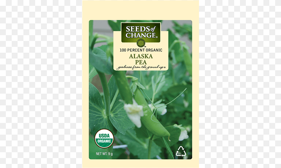 Organic Alaska Shell Pea Seeds Usda Organic, Food, Plant, Produce, Vegetable Png Image