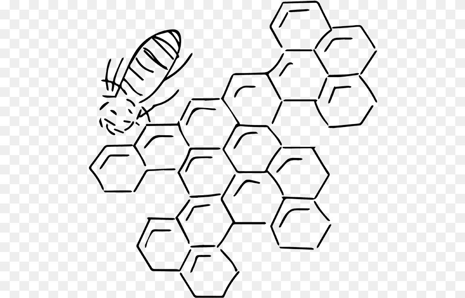 Organic And Non Gmo Ingredients Line Art, Food, Honey, Honeycomb, Animal Png Image