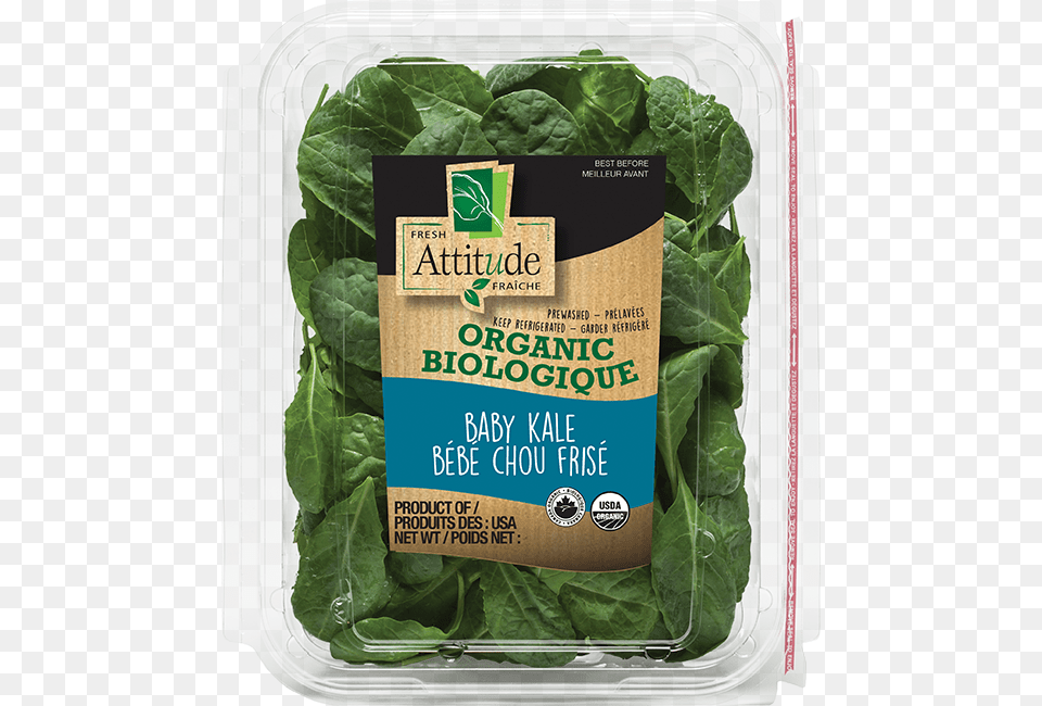 Organic Baby Kale Organic Fresh Attitude Salad, Food, Leafy Green Vegetable, Plant, Produce Png