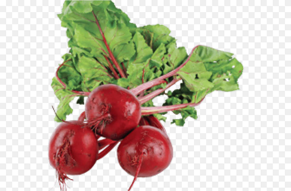 Organic Beets, Food, Produce, Plant, Radish Png Image