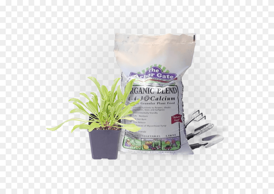 Organic Blend Food Flowerpot, Herbal, Herbs, Plant, Potted Plant Png